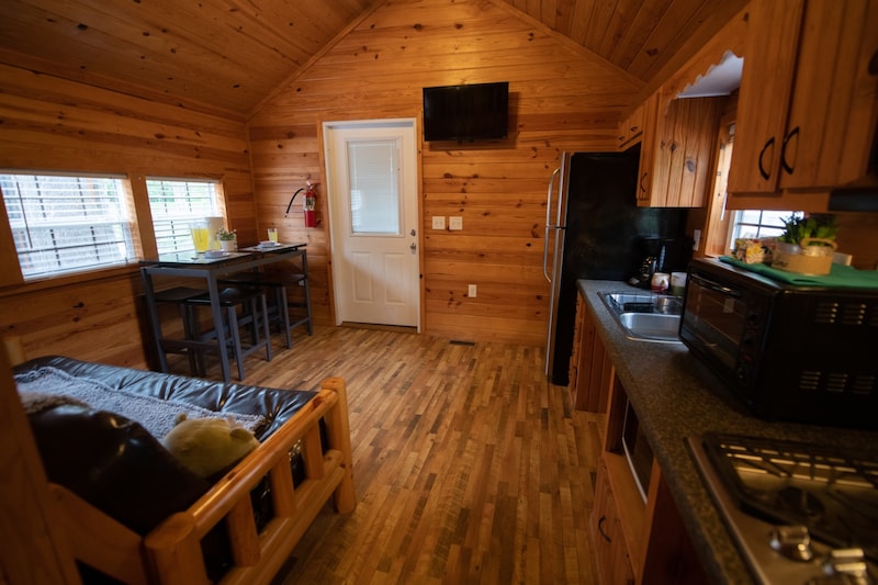 Deluxe South Shore Cindy Bear™ Cabin-5